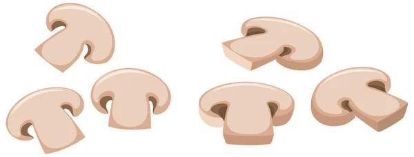 Six tranches de champignons — Image vectorielle