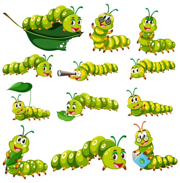 Зелёная гусеница в различных действиях — стоковый вектор