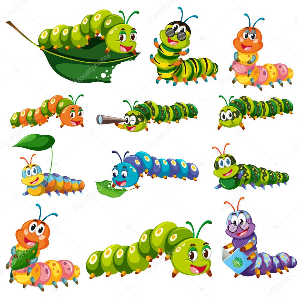 Different color caterpillar characters