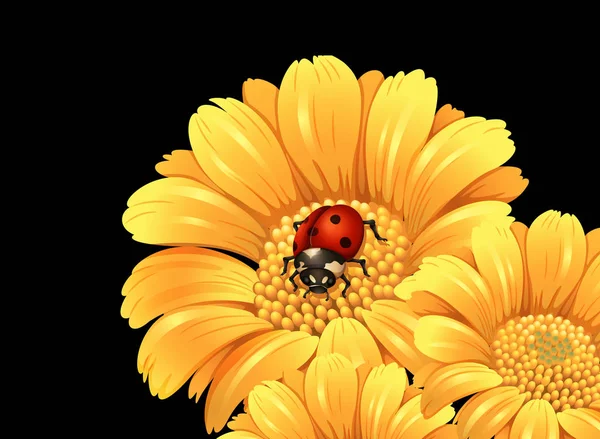 Coccinelle sur fleur jaune — Image vectorielle