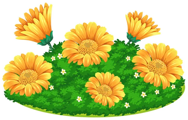 Fleurs calendaires en buisson — Image vectorielle