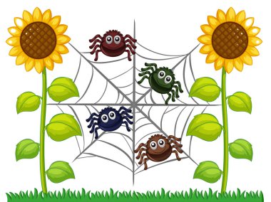 Ayçiçeği Bahçe web örümcekler