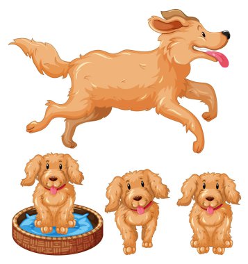 Köpek ve köpek yavruları kahverengi kürklü