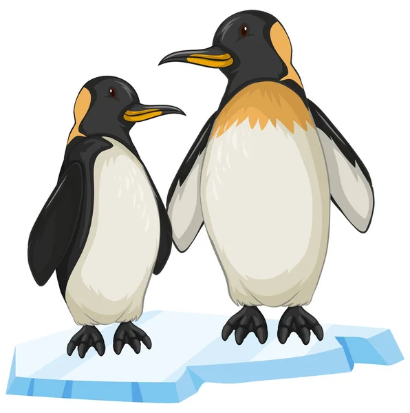 Dos pingüinos sobre hielo — Vector de stock
