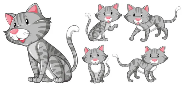 Différentes actions de chat gris — Image vectorielle