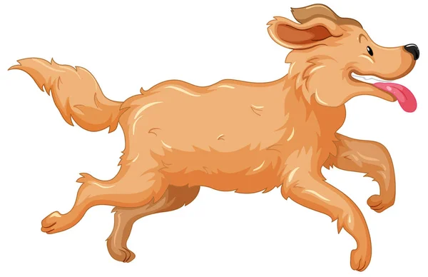 Golden retriever dog running — Stock Vector