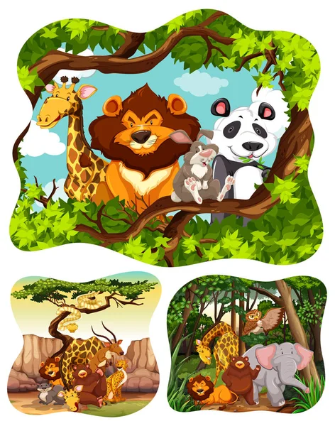 Wild animals in forest — Stock Vector