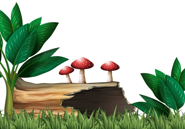 Zahradní scénu s log a houby — Stockový vektor