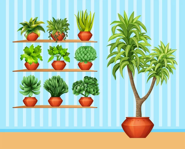 Conjunto de jardinería con muchas plantas en macetas — Vector de stock