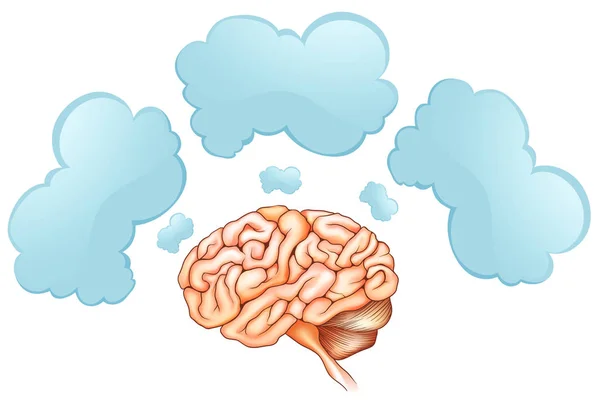 Human brain and three speech bubbles — Stock Vector
