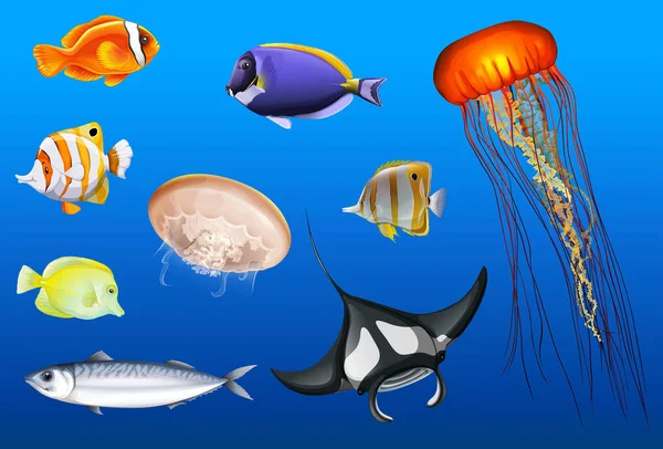 Berbagai jenis hewan laut - Stok Vektor