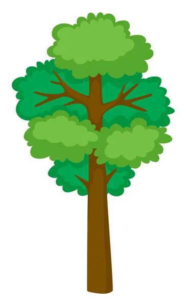 Tall tree on white background — Stock Vector