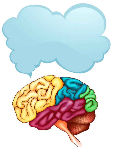 Ludzkiego mózgu i mowy Bańka szablonu — Wektor stockowy