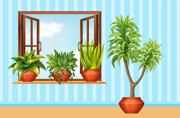 Différentes plantes dans l'argile dans la chambre — Image vectorielle