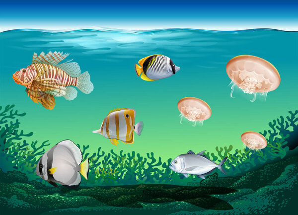 Many fish swimming under the ocean