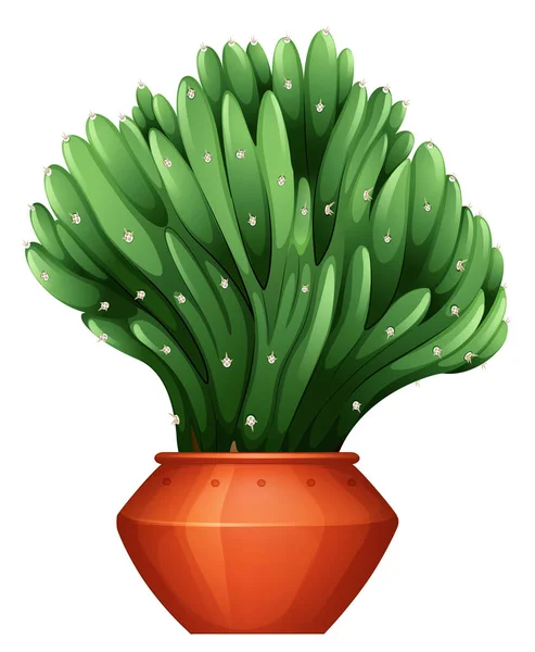 Krásný tvar kaktusu v připravované v hliněném hrnci — Stockový vektor