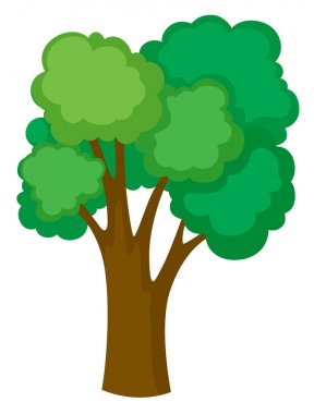 beyaz arkaplanda yeşil ağaç