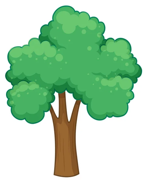 Big green tree on white background — Stock Vector