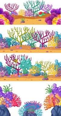 Dört sahneleri ile mercan resif sualtı