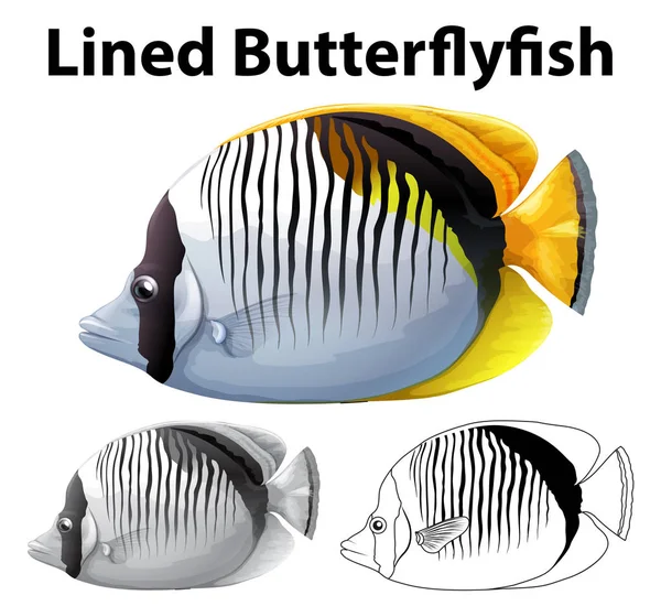 Drafting character for lined butterfly fish — Stock Vector