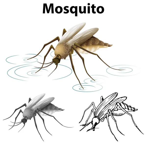 Drafting character for mosquito — Stock Vector