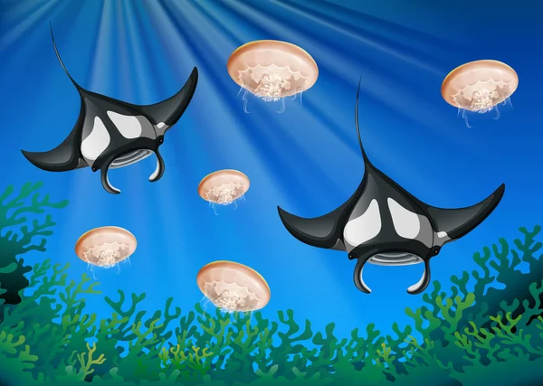 Manta ray a medúzy v moři — Stockový vektor