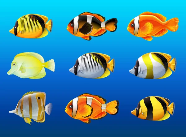 不同种类的鱼在海底 — 图库矢量图片