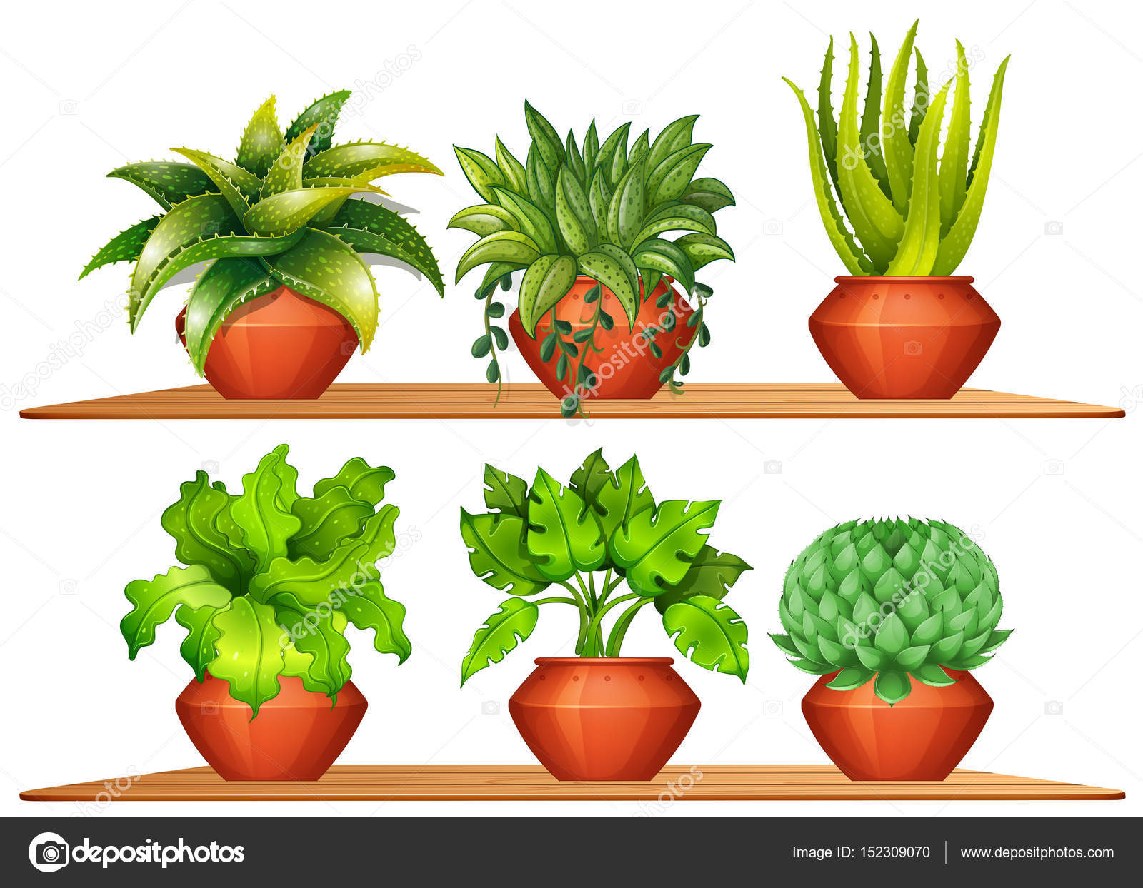 many types of plants stockvektoren, lizenzfreie illustrationen