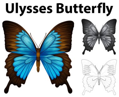 Doodle animal for ulysses butterfly clipart