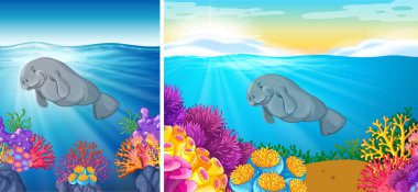Deniz altında Yüzme manatee iki sahne
