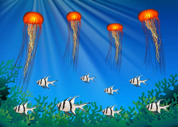 Медузы и рыбы, плавающие под водой — стоковый вектор