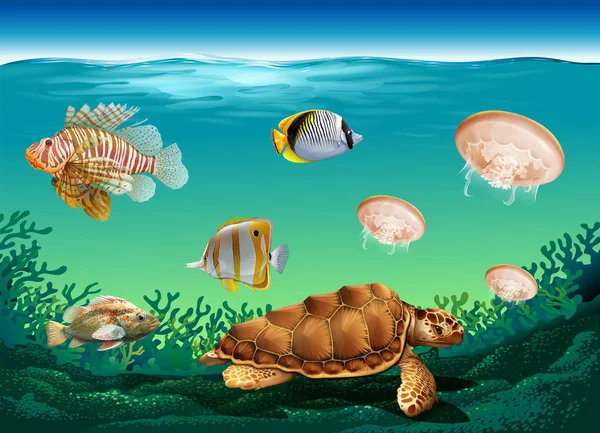 Escena submarina con muchos animales marinos — Archivo Imágenes Vectoriales