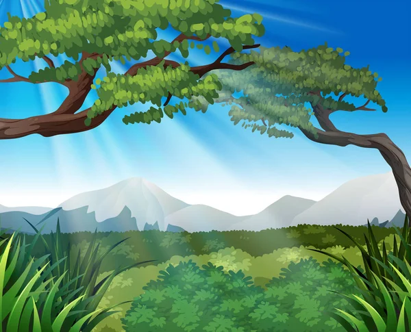 Scène nature avec des arbres sur les montagnes — Image vectorielle