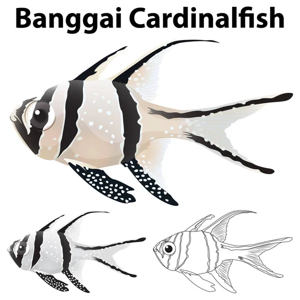 Banggai cardinalfish のための動物を落書き — ストックベクタ