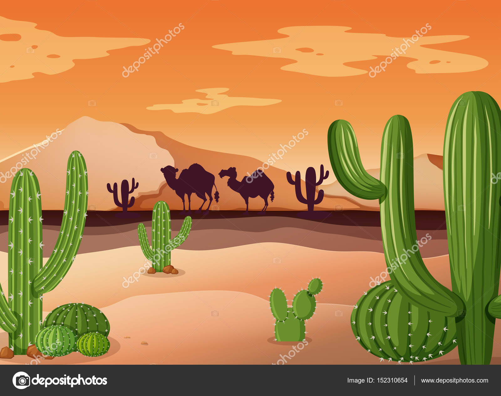 Vetores de Planta De Cactos Do Deserto Ilustração De Vetor De Desenho  Animado Isolado Em Branco e mais imagens de Cacto - iStock