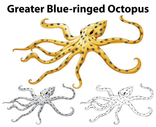 Doodle animal for greater blue-ringed octopus — Stock Vector