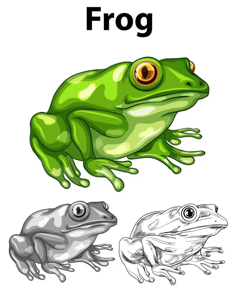 Doodle zvíře žába — Stockový vektor