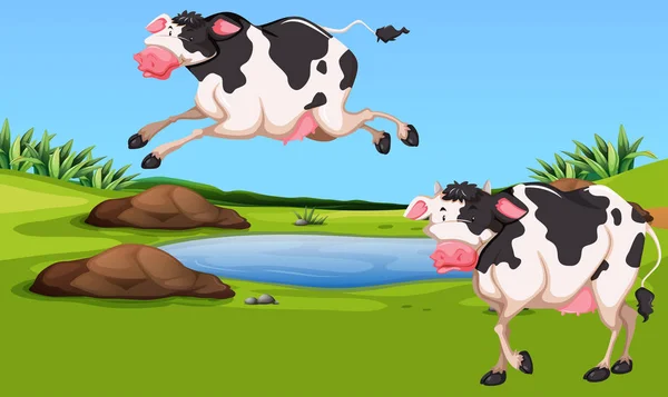 Két tehén, a farm — Stock Vector