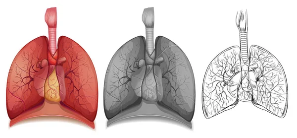 人間の肺の 1doodle 文字 — ストックベクタ