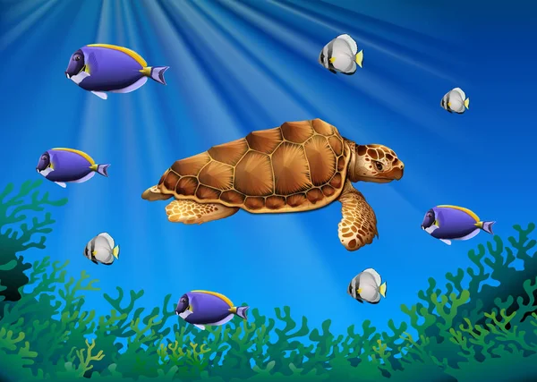 Tortue marine et poissons nageant sous l'eau — Image vectorielle