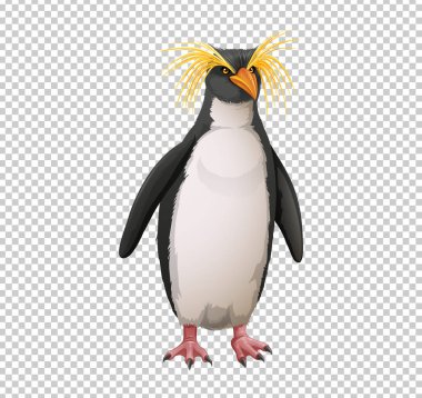 Saydam arka plan makarna penguen