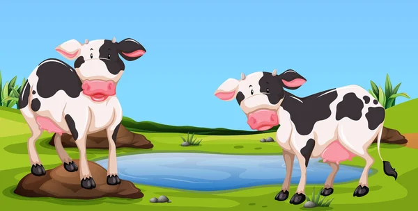 站在院子里的两个奶牛 — 图库矢量图片