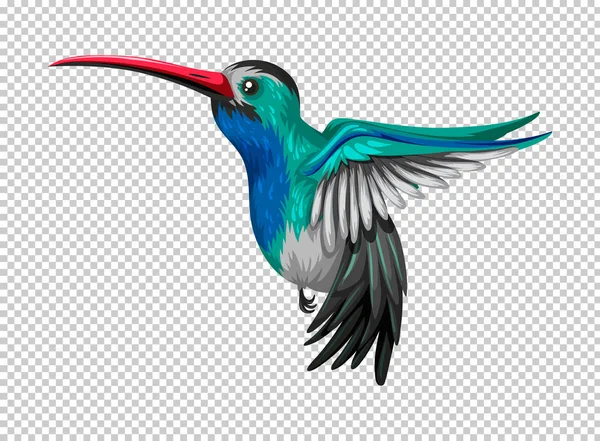 Kolibri fliegt auf transparentem Hintergrund — Stockvektor