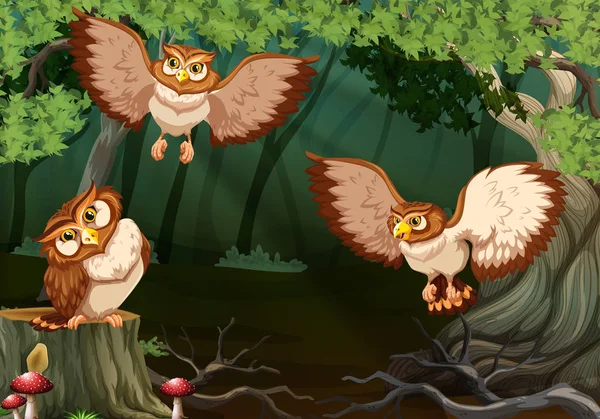 Three owls flying in forest