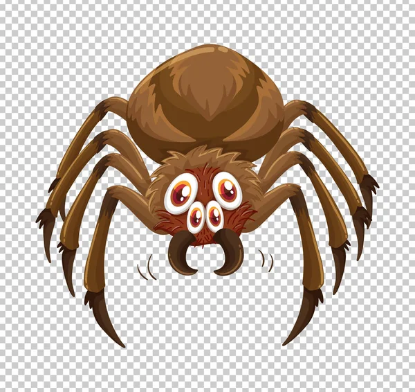 Araña silvestre sobre fondo transparente — Vector de stock