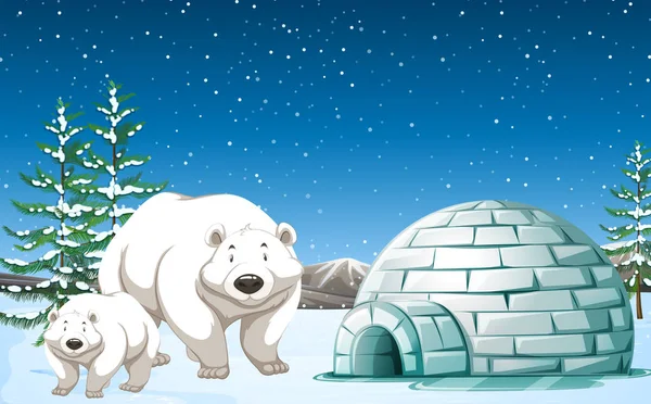 Ours polaires debout près d'igloo la nuit — Image vectorielle