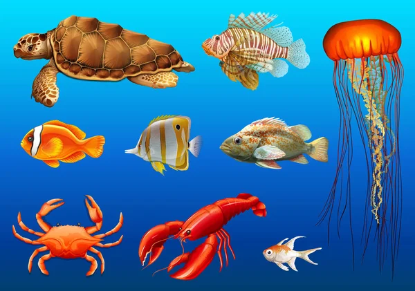Diferentes tipos de animais selvagens subaquáticos —  Vetores de Stock