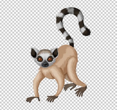 Saydam arka plan üzerinde şirin lemur