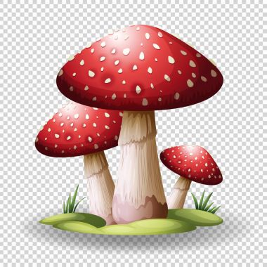 Red mushrooms on transparent background clipart