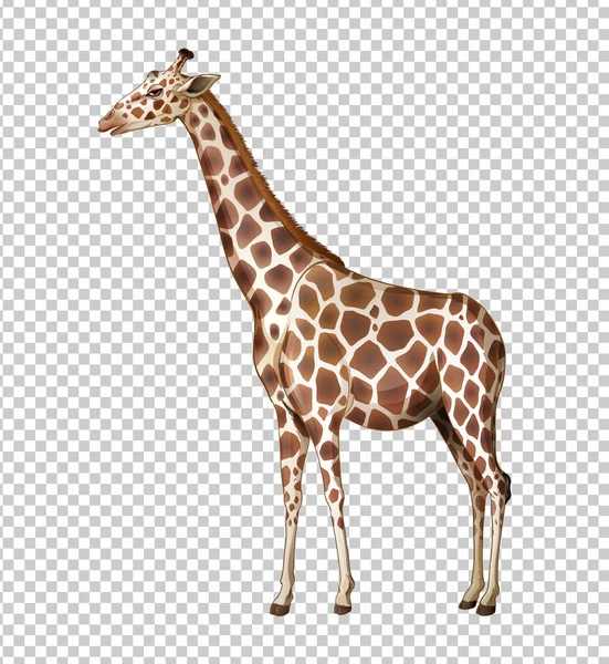 Girafa selvagem em fundo transparente — Vetor de Stock